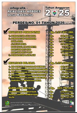 REALISASI APBDes TA. 2025